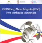 Institutional and Governance Dimensions of AEMI